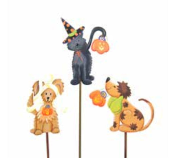 Trick or Treat Pet - Mummy Dog