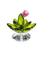 Potted Cactus Posy Pot