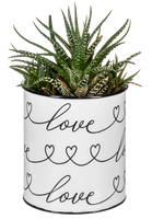 LOVE Hearts Planters (CLEARANCE)