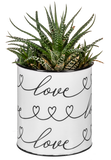 LOVE Hearts Planters (CLEARANCE)