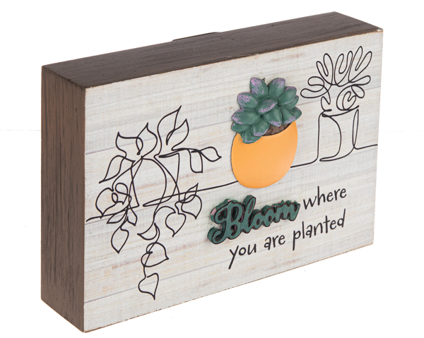CactUS Box Frame
