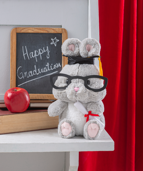 Graduation Plush